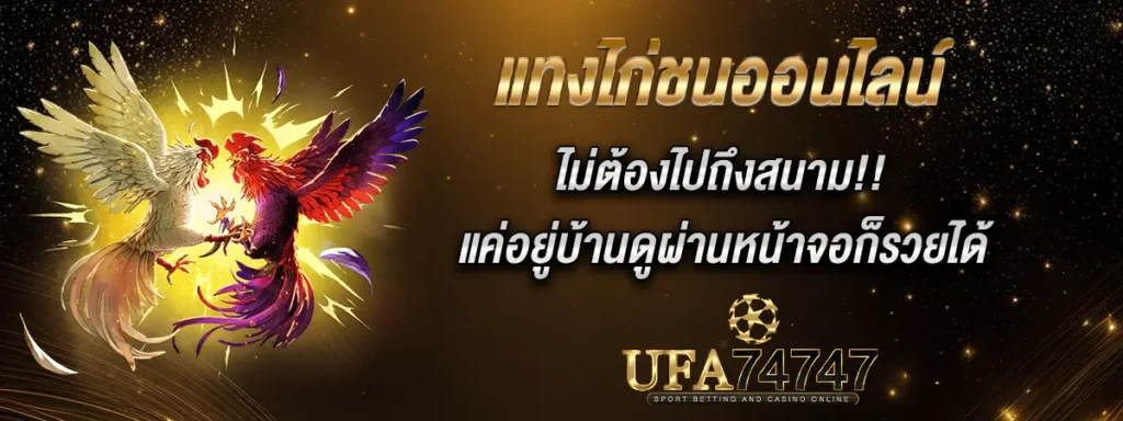 แทงไก่ชนออนไลน์