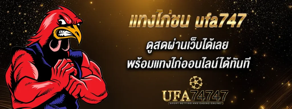 แทงไก่ชน