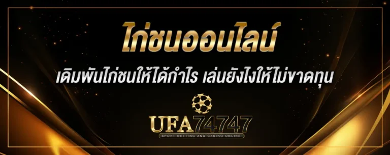 Read more about the article ไก่ชนออนไลน์ เดิมพันไก่ชนให้ได้กำไร ดูราคาเป็น เล่นยังไงให้ไม่ขาดทุน